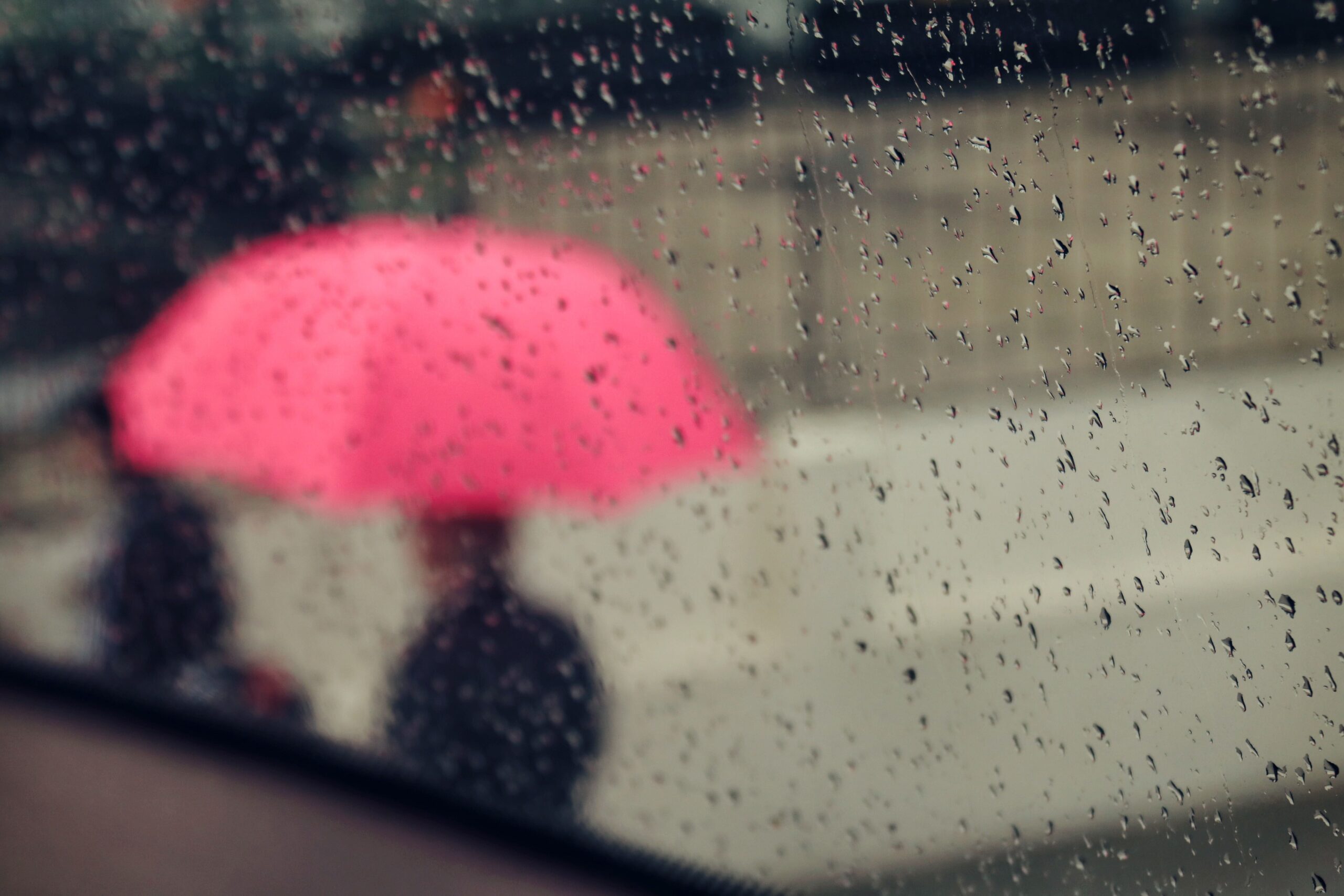 O que fazer em São José em dias de chuva